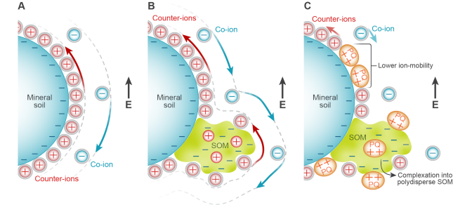 Soil Contaminant Interactions